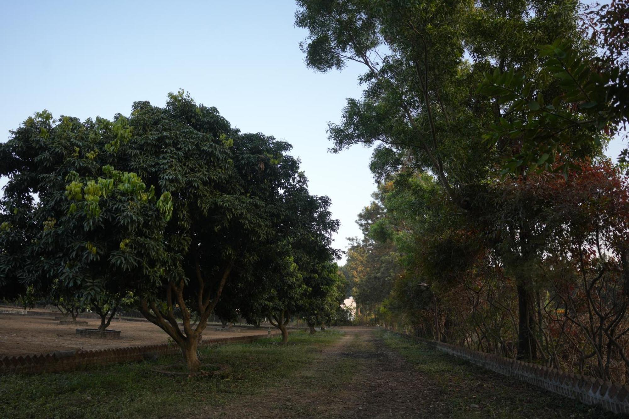 3Acres Resorts Dehradun Exterior foto